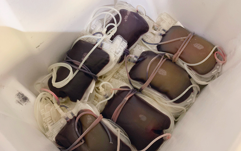 HGWA participa de campanha do Hemoce e coleta 93 bolsas de sangue