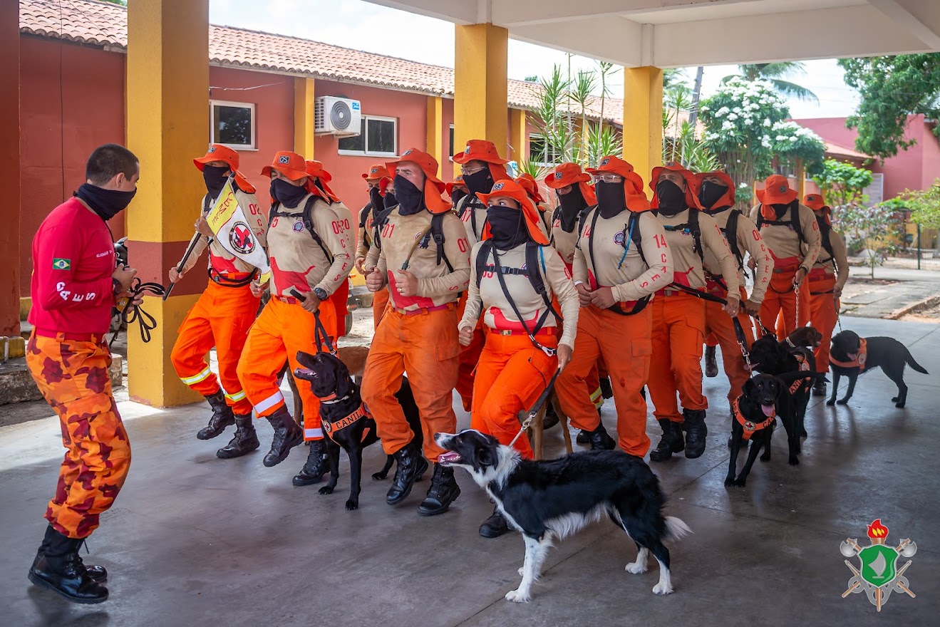 Bombeiros concluem Curso de Busca, Resgate e Salvamento com Cães