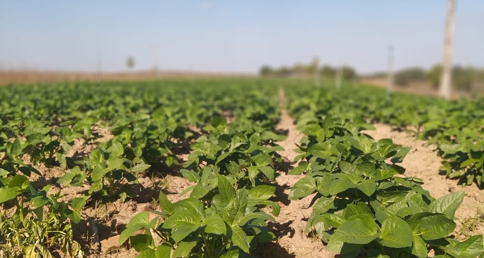 Agricultores familiares de Mauriti são contemplados com projeto de irrigação