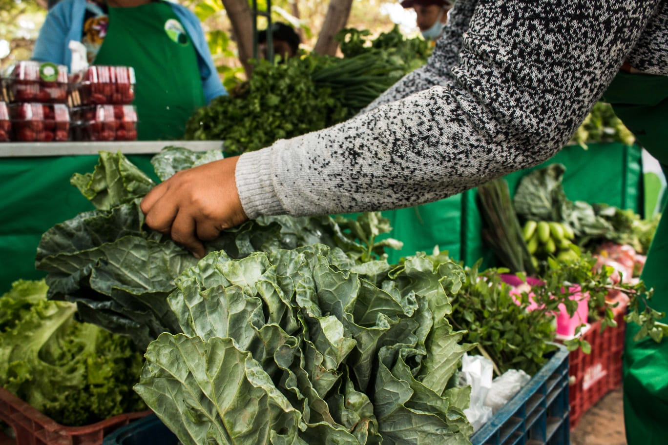 Área Adahil Barreto, do Parque do Cocó, terá encerramento da Semana de Proteção Animal e Feira Agroecológica neste sábado