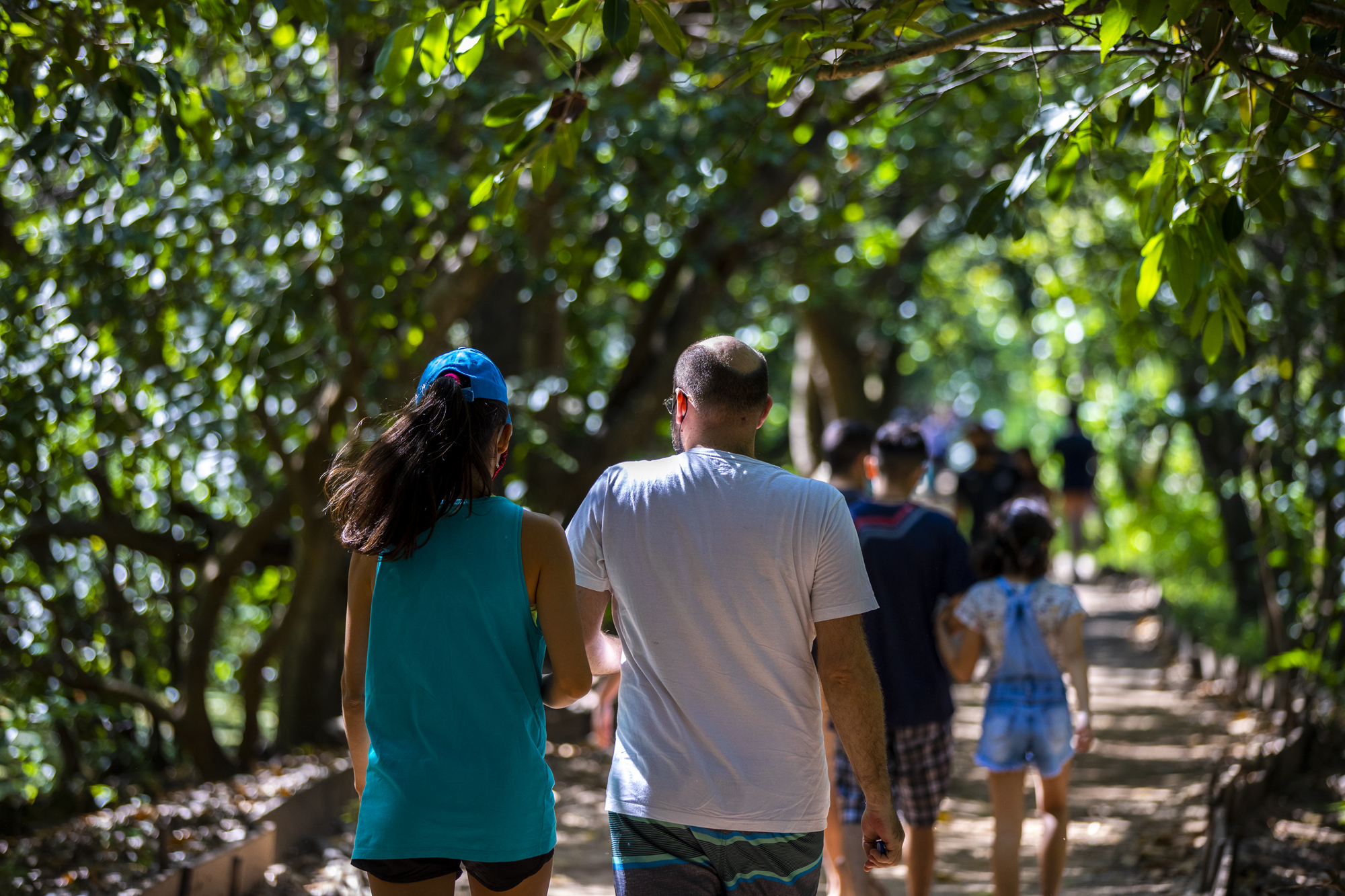 50 anos: TVC promove manhã de lazer e serviços no Parque do Cocó
