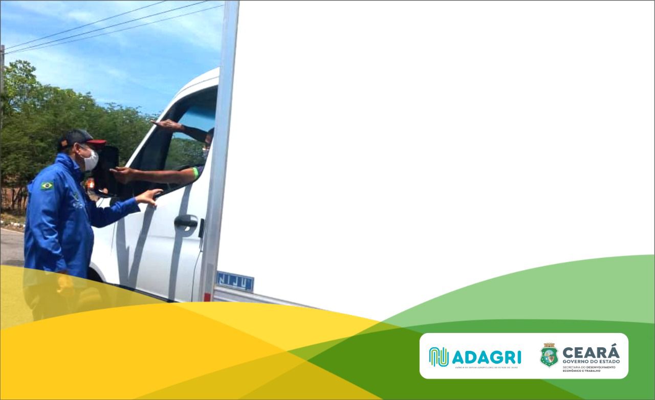 Blitz reforça a importância da exigência da Guia de Trânsito Interna de Vegetais (GTIV)