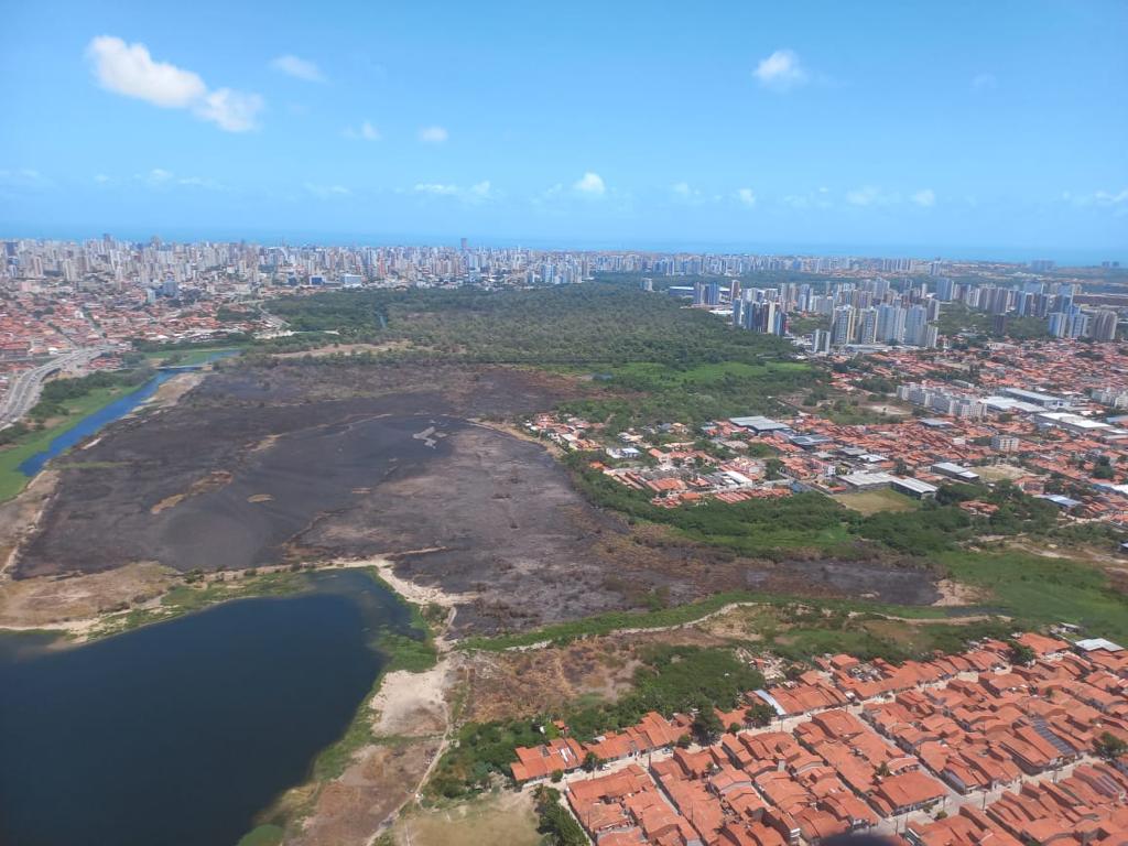 Técnicos realizam avaliação da área do Parque do Cocó atingida pelo incêndio