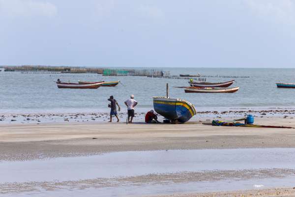 Uece é a 1ª universidade do Brasil a oferecer graduação para comunidades costeiras; aula inaugural acontece na sexta-feira (26)