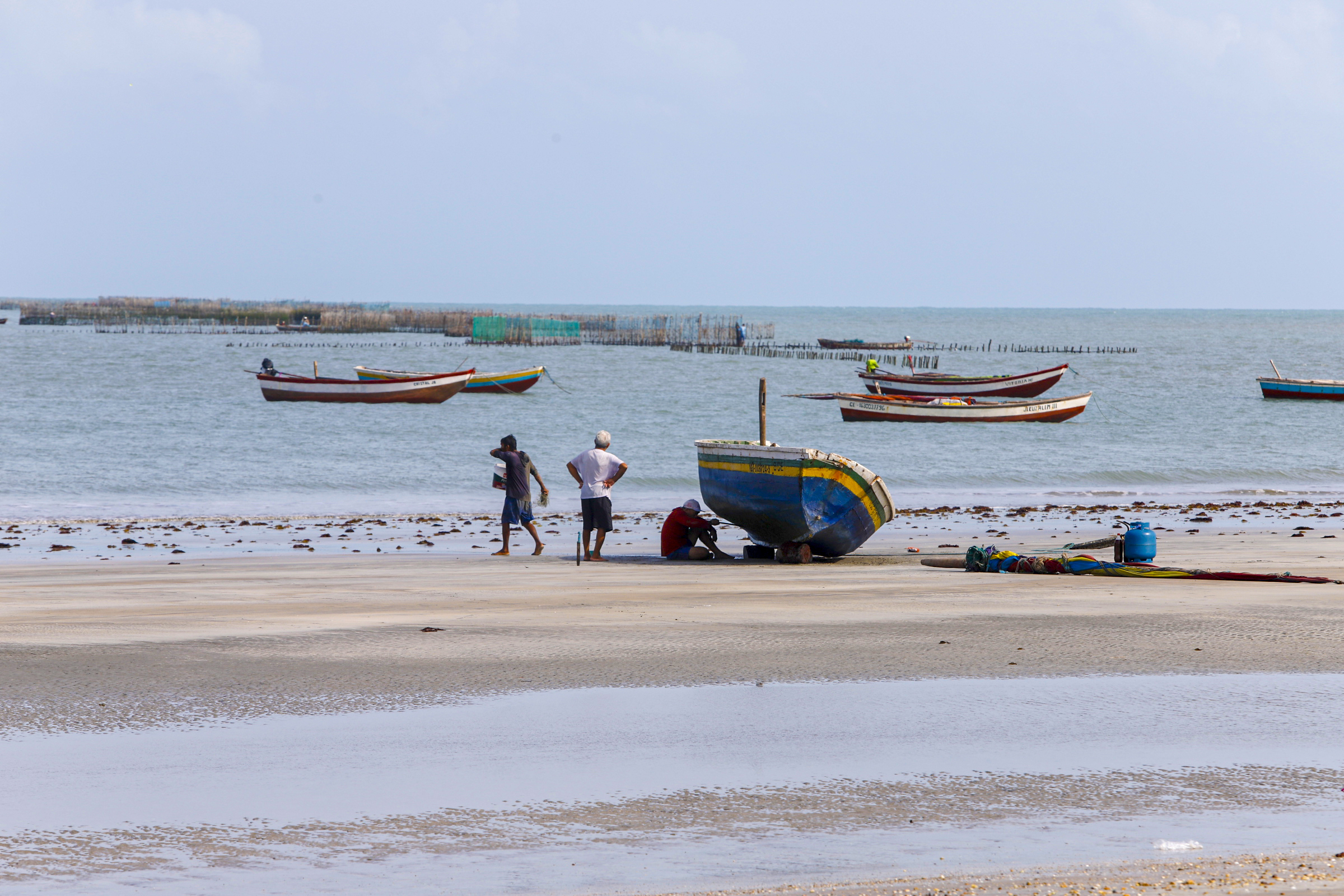 Uece é a 1ª universidade do Brasil a oferecer graduação para comunidades costeiras; aula inaugural acontece na sexta-feira (26)