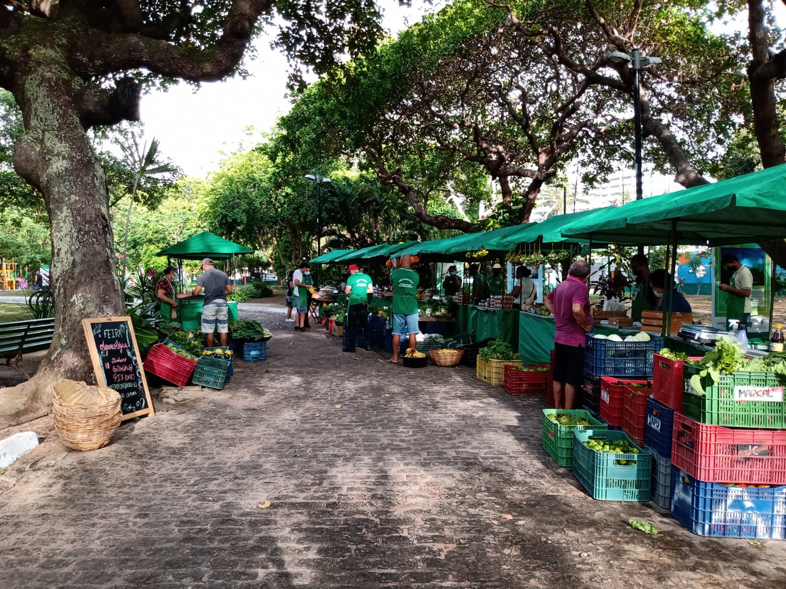 Participe da última Feira Agroecológica do ano, na área Adahil Barreto, no Cocó