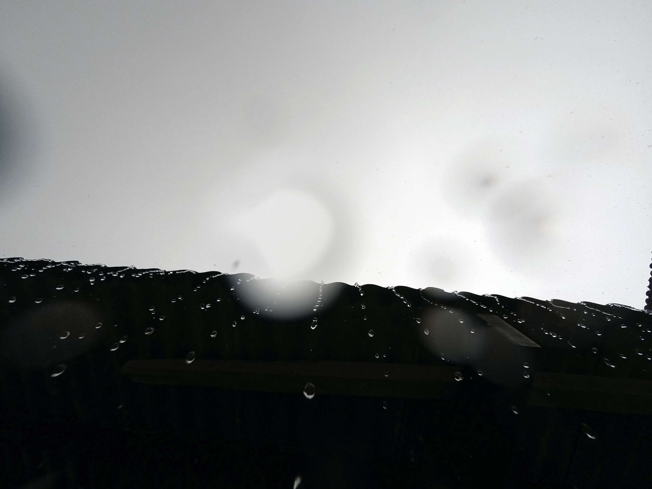 Cagece alerta para cuidados com focos de mosquitos nesta pré-estação chuvosa