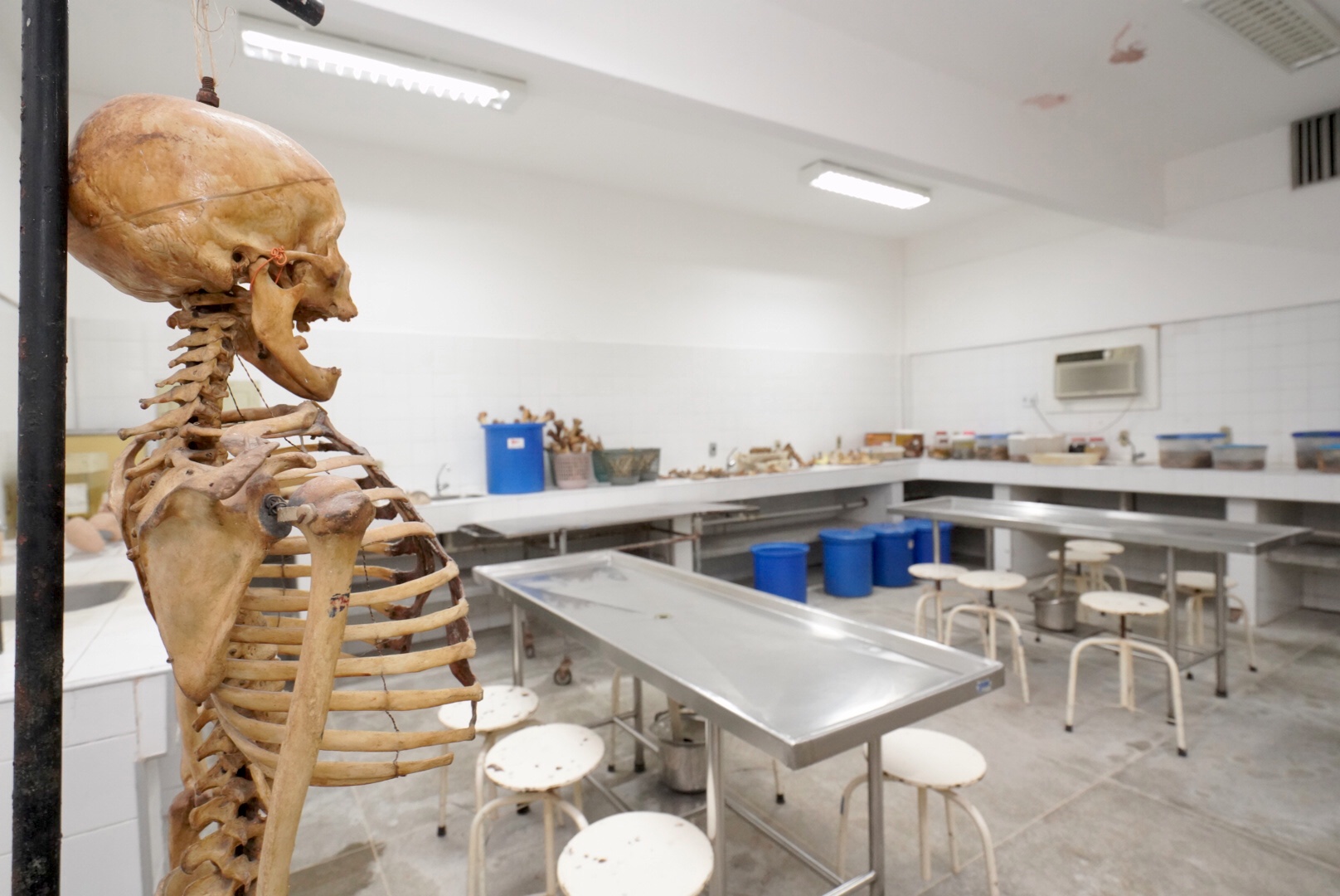 Uece abre inscrições para Especialização em Enfermagem Cardiovascular e Hemodinâmica