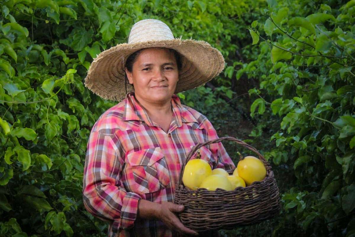 Agricultores de 113 cidades têm até dia 20 para pagar boleto de adesão ao Garantia Safra