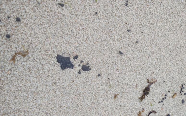 Com surgimento de manchas de óleo no litoral cearense, Sesa orienta equipes municipais de Vigilância Ambiental sobre ações preventivas