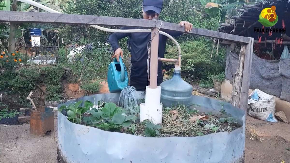 Projeto Paulo Freire renova esperança das juventudes de comunidade rural de Massapê