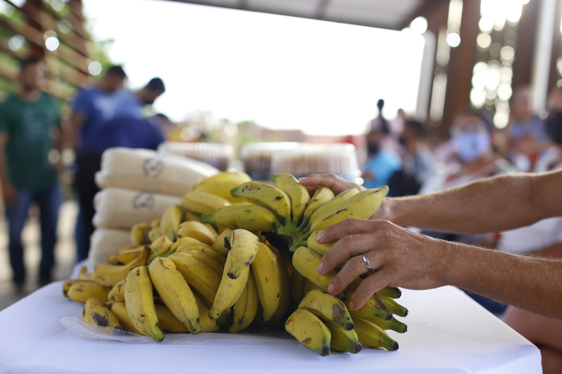 Auxílio Cesta Básica: 1.391 cartões devem ser retirados até dia 30 de abril