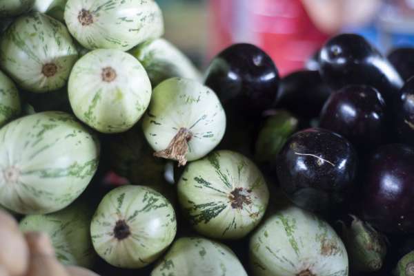 Abobrinha italiana tem queda de 28,57% em seu preço na Ceasa Tianguá
