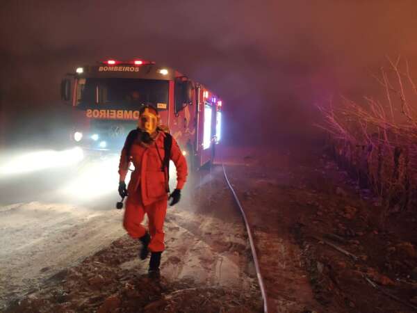Corpo de Bombeiros debelou 3.836 incêndios em vegetação em 2022