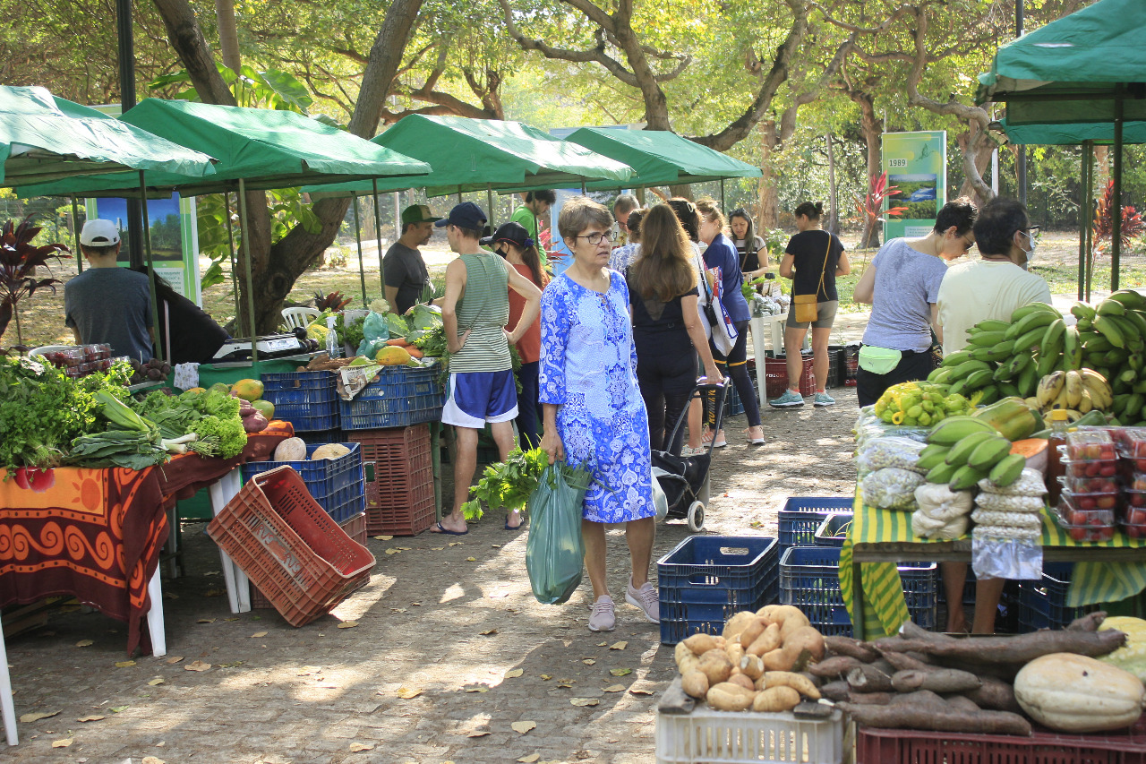 Primeira Feira Agroecológica no Parque em novembro acontece neste sábado (5)