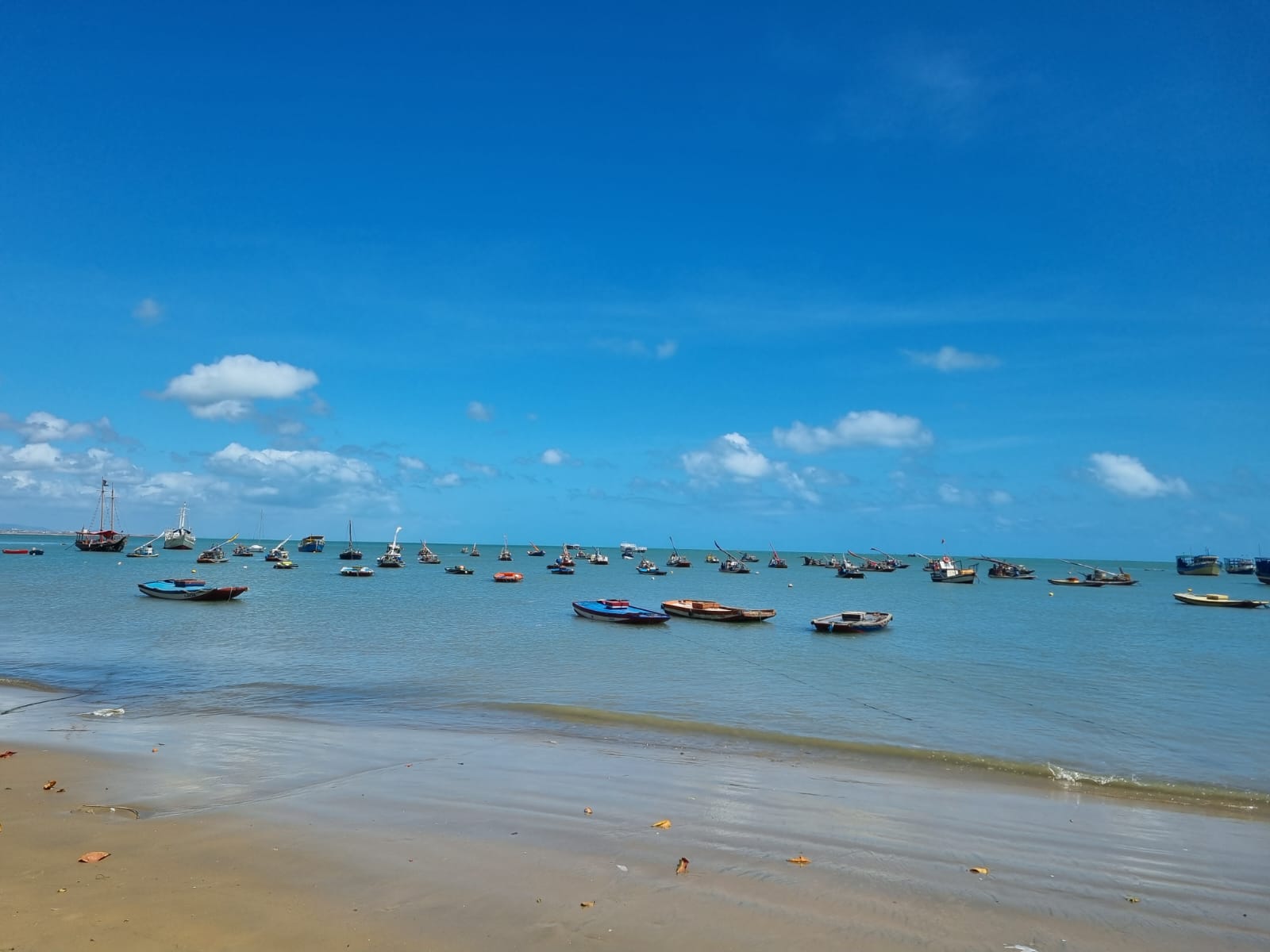 Balneabilidade: 19 praias estão próprias para banho em Fortaleza