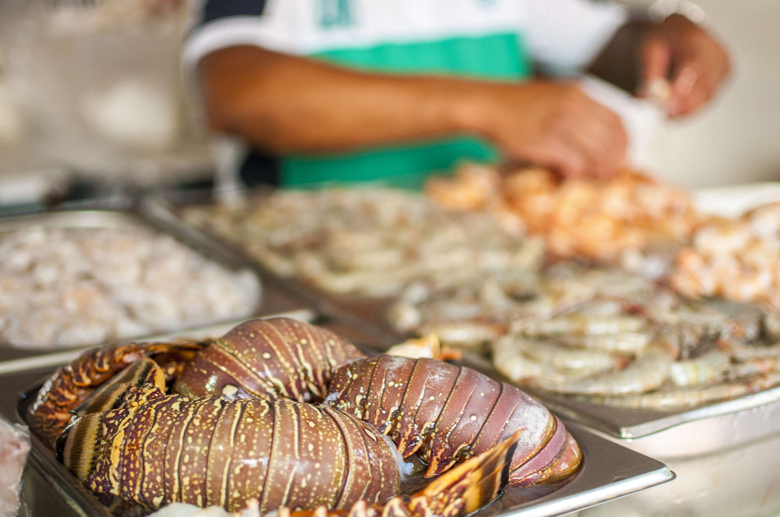 Ceará se mantém líder nas exportações de pescado