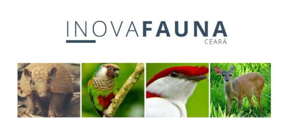 Uece inicia projeto que visa ajudar na preservação de espécies ameaçadas de extinção