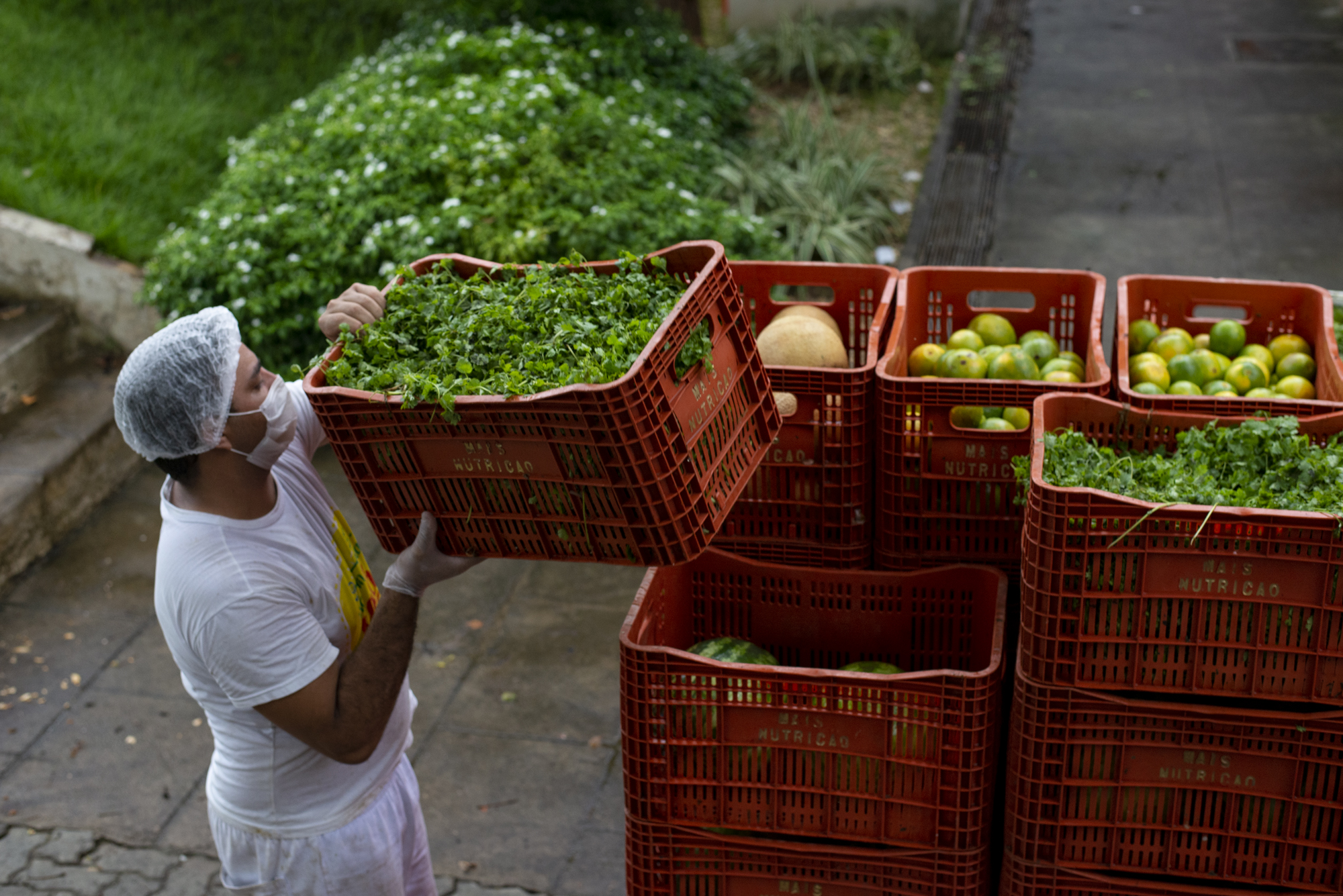 Programa Mais Nutrição combate a fome no Ceará promovendo alimentação saudável para cerca de 30 mil pessoas