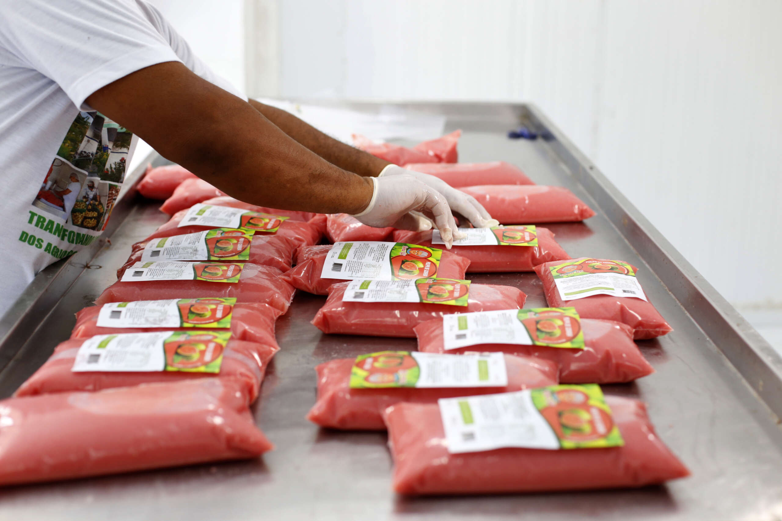 Projeto São José: apoio garante renda aos agricultores familiares e alimento de qualidade na mesa dos cearenses