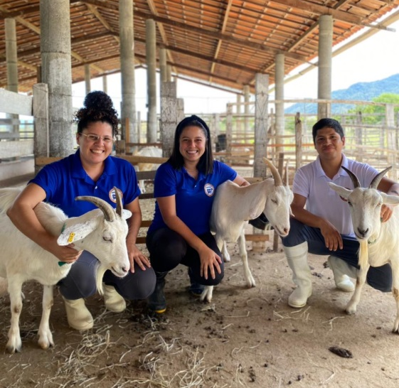 Uece à frente da nova área de Pecuária do Programa Cientista-Chefe