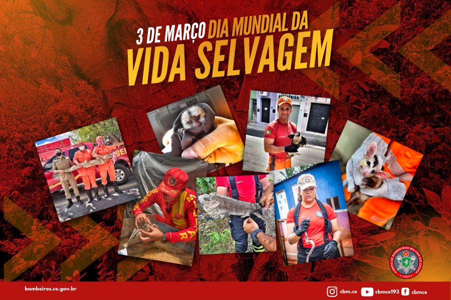 Corpo de Bombeiros celebra Dia Mundial da Vida Selvagem e 50º Aniversário da Cites