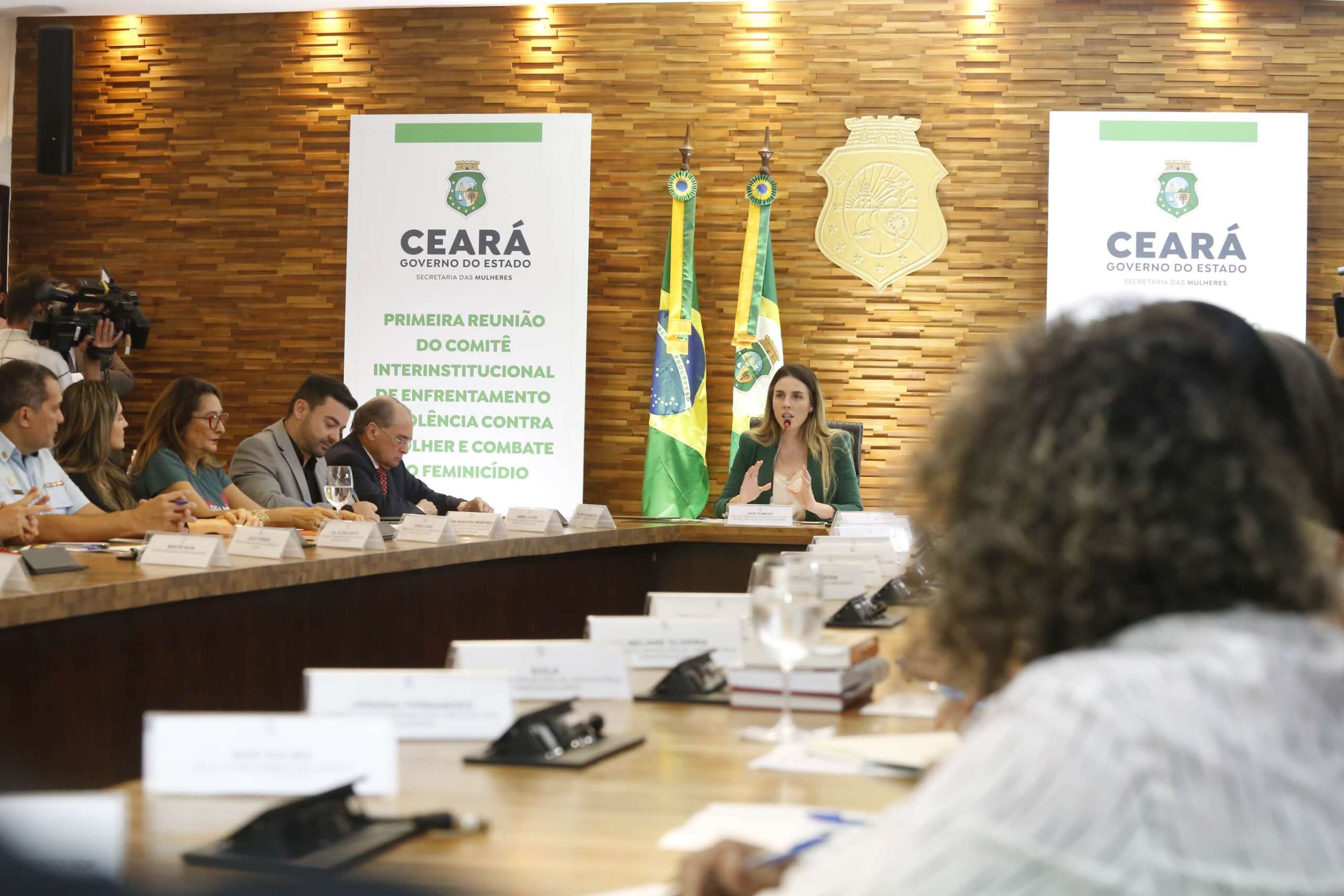 Primeira reunião do Comitê Estadual de Enfrentamento à Violência contra a Mulher e Combate ao Feminicídio apresenta diretrizes e articulações