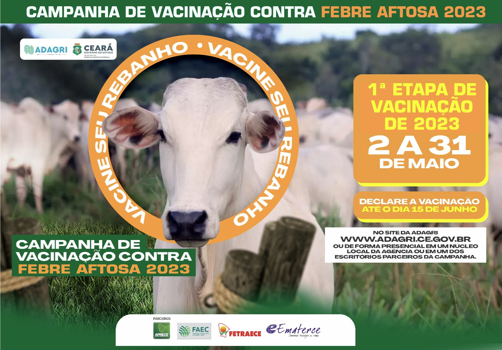 Campanha de Vacinação contra Febre Aftosa começa no próximo dia 2 de maio