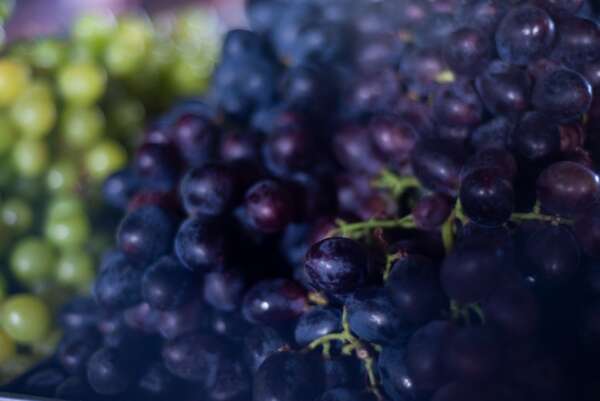 Preço da uva Vitória cai 40% na Ceasa Cariri