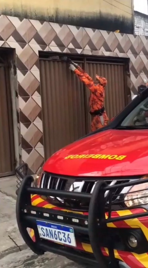 CBMCE resgata jiboia que estava em garagem de imóvel na Capital