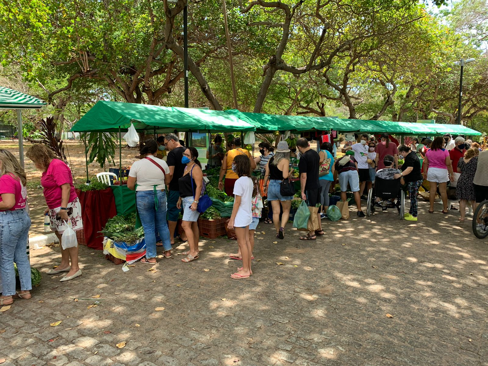 Feira agroecológica do Cocó oferece alimentos orgânicos