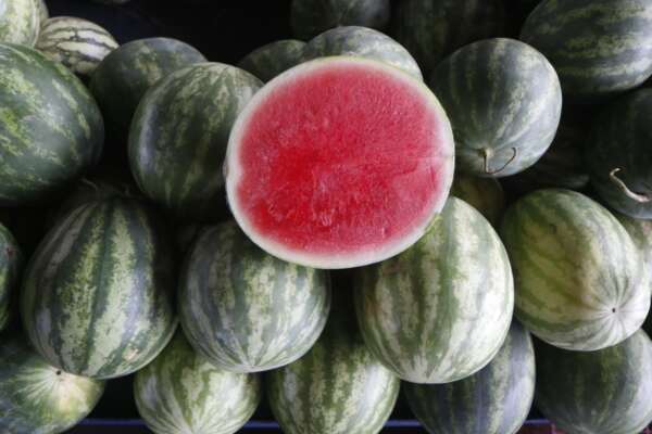 Mês de agosto encerra com boas ofertas na Ceasa em Maracanaú