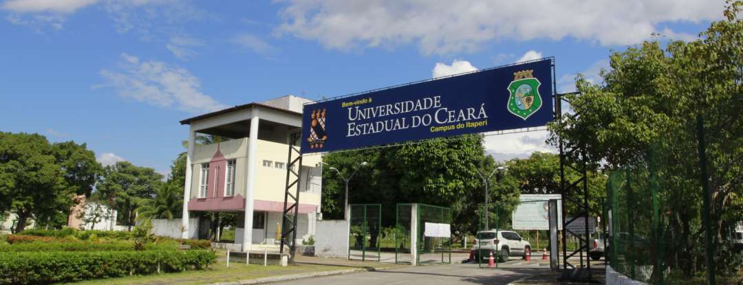 Uece desenvolve método inovador de preservação de rins para transplantes e obtém patente