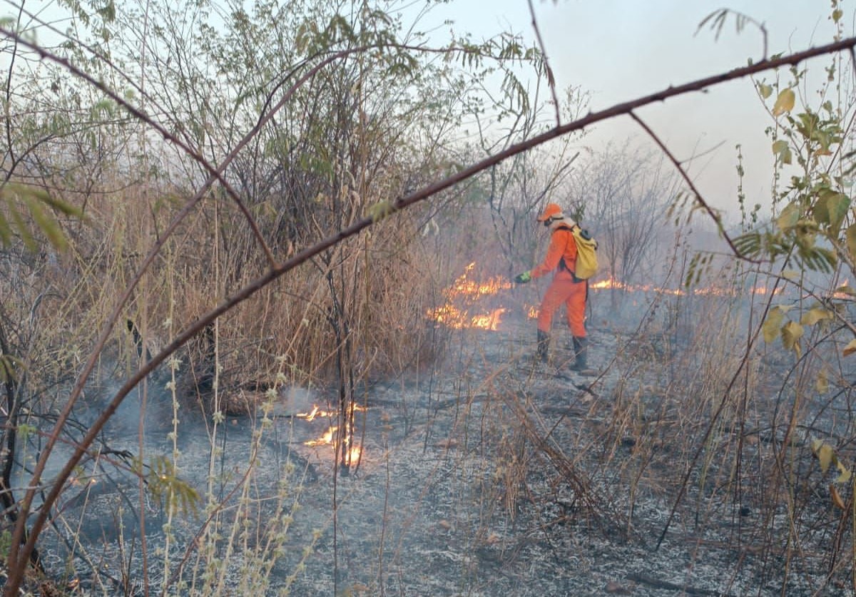2.361 incêndios em vegetação foram apagados em 2023 pelo Corpo de Bombeiros