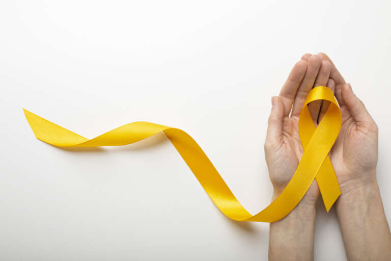 Valorização da Vida será o tema de palestra no Setembro Amarelo da PGE