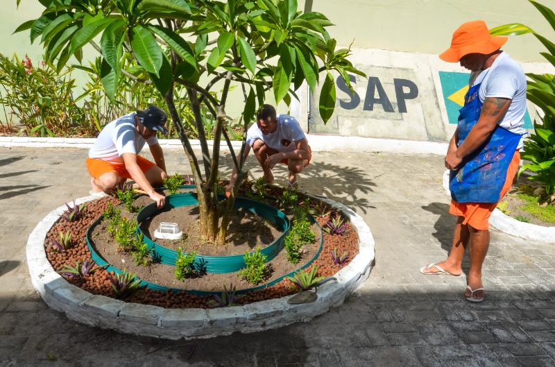 SAP e SPS promovem qualificação profissional no segmento de jardinagem para internos do sistema prisional cearense