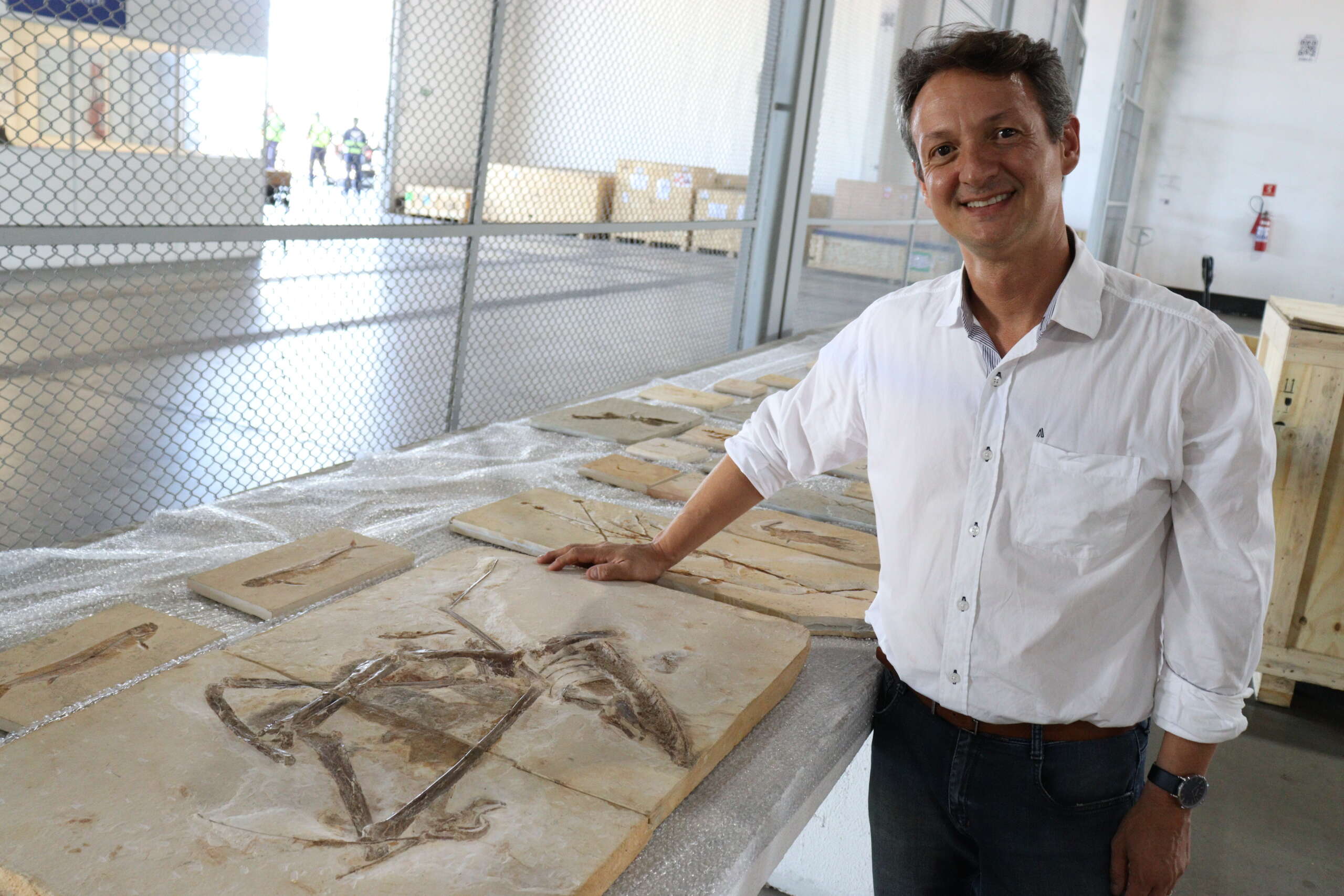 Com retorno de 998 fósseis, Governo do Ceará realiza maior repatriação cultural da história do Brasil