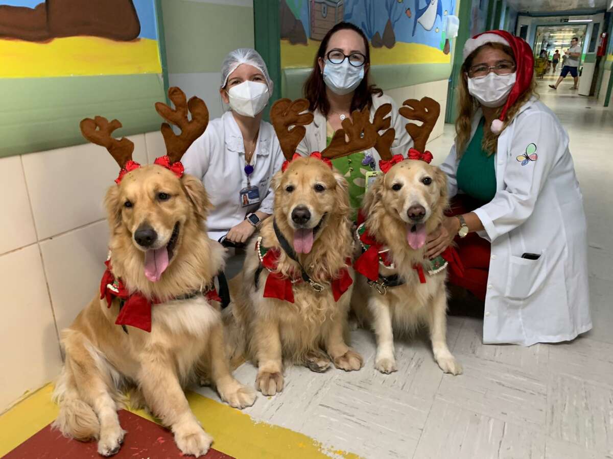 Em clima natalino, crianças internadas na pediatria do HGWA recebem visita de animais