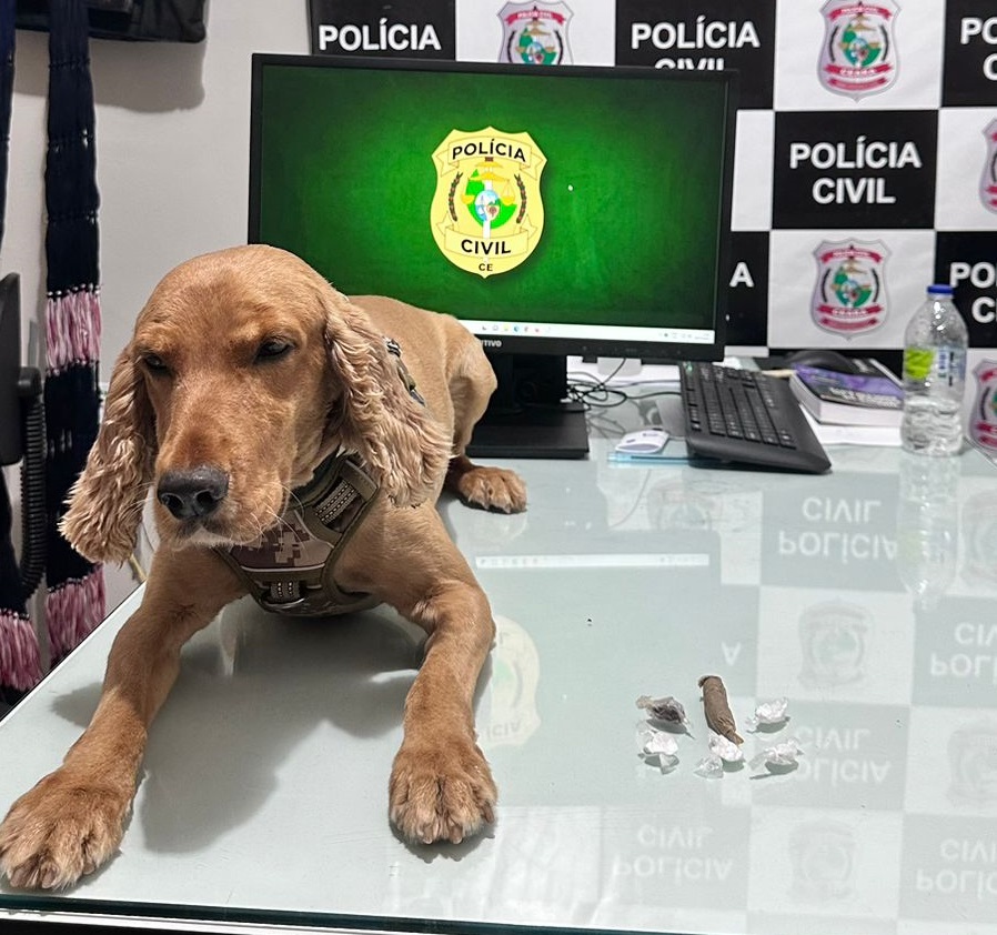 Com apoio de cão farejador, PCCE captura suspeito com extensa ficha criminal em Senador Pompeu