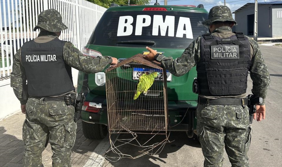 Em ações distintas, Polícia Militar resgata tamanduá e papagaio no Ceará