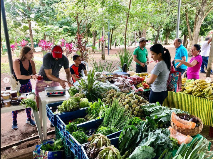 Sábado tem Feira Agroecológica no Cocó