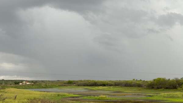 Ceará deve seguir com condições para chuvas em todas as regiões até esta quinta-feira (22)