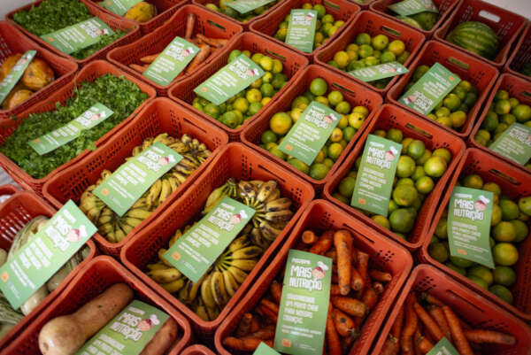 Mais Nutrição: SPS abre edital para seleção de mais 15 entidades no Cariri