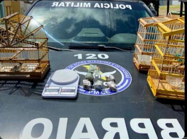 Suspeito de tráfico de drogas e crime ambiental é preso pela PMCE em Caririaçu