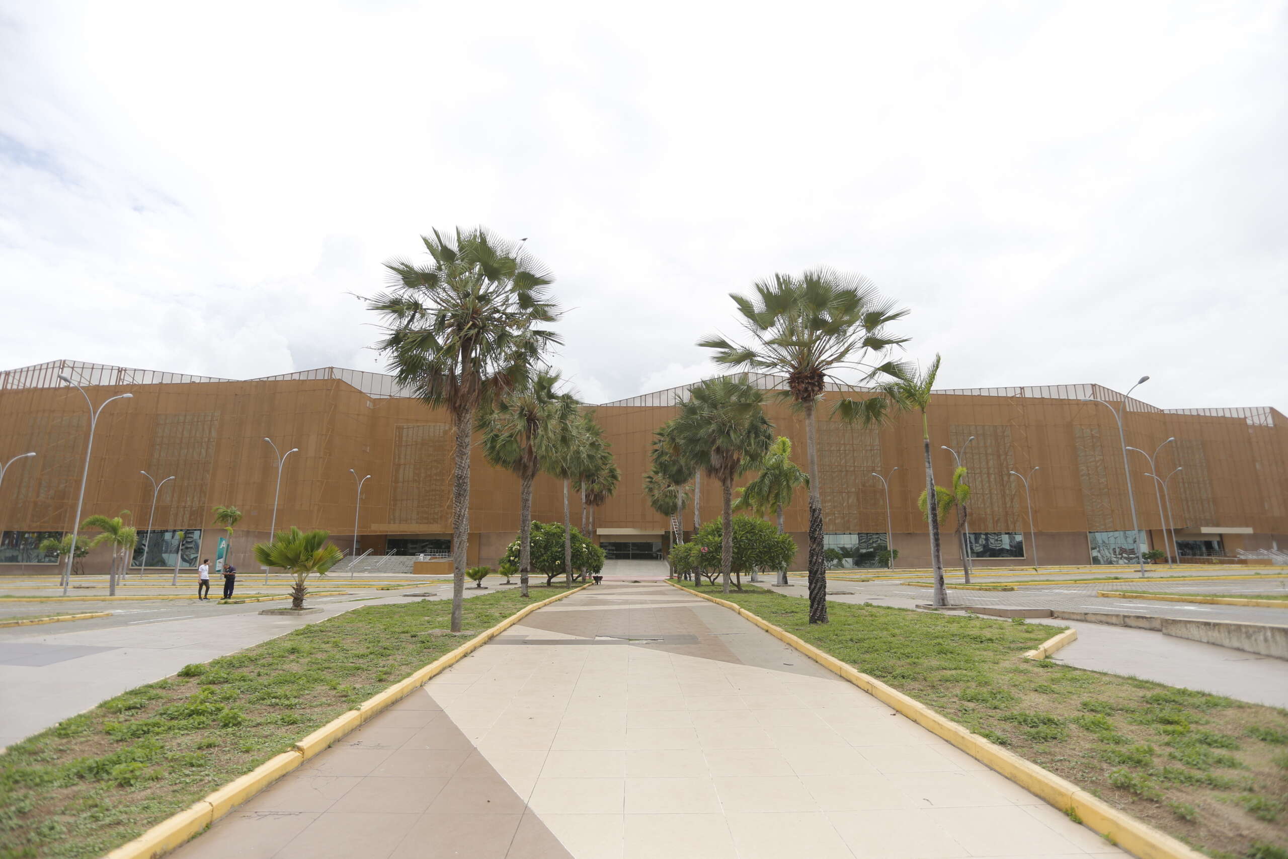 Ceará recebe cúpula mundial de transição energética e reafirma protagonismo em energias renováveis