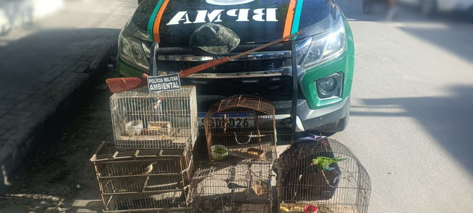 PMCE captura suspeito de crime ambiental, resgata aves silvestres e apreende arma de fogo em Tururu