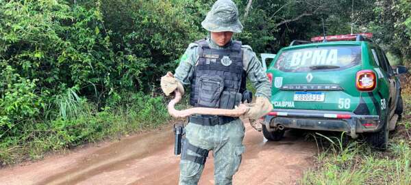 PMCE resgata jiboia em residência no município de Barbalha