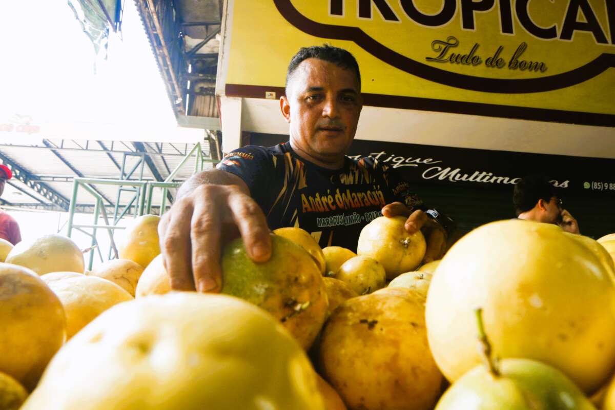 Preço do maracujá cai 30,56% na Ceasa de Maracanaú