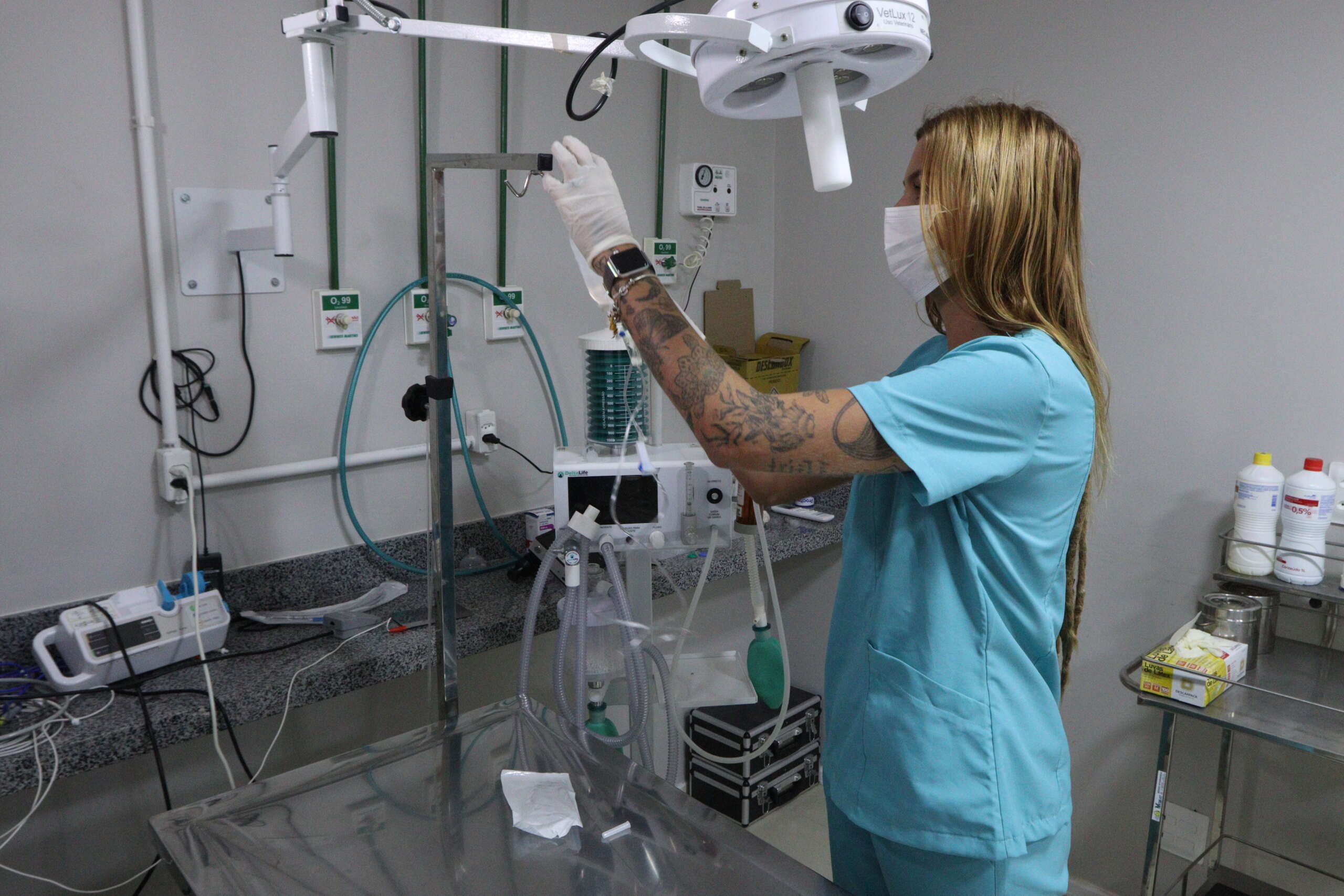 Programa Vet+Ceará realiza mais de 500 procedimentos em 13 dias de funcionamento