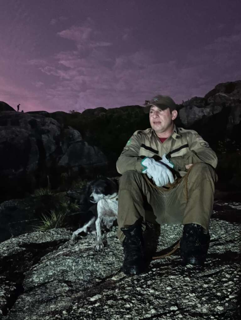 Corpo de Bombeiros resgata cadela que caiu de ribanceira em Quixadá